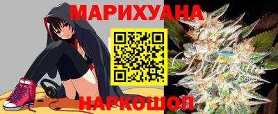 крисы Кунгур