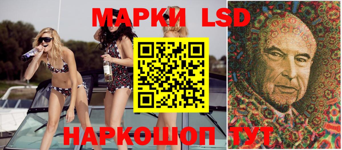 Владимир  Марки N-bome 1500мкг  Вход с VPN 