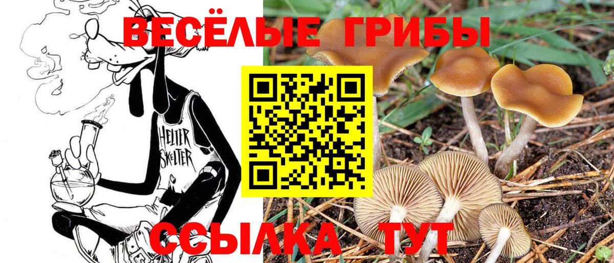 Галлюциногенные грибы ЛСД Владимир