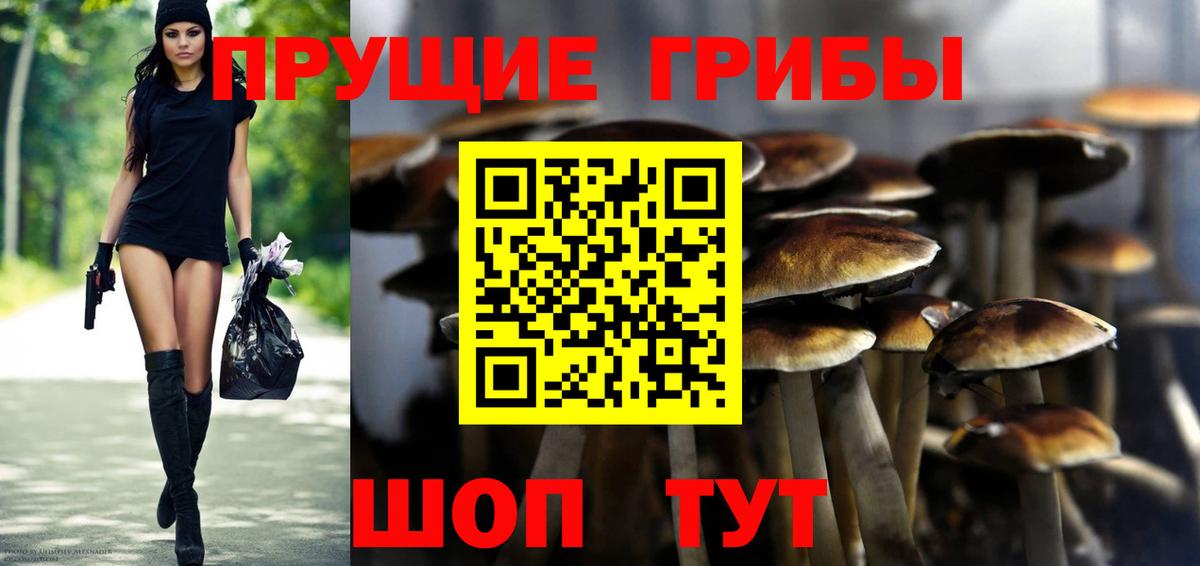 Владимир  Псилоцибиновые грибы Magic Shrooms  Псилоцибиновые грибы Psilocybe  Вход с VPN 