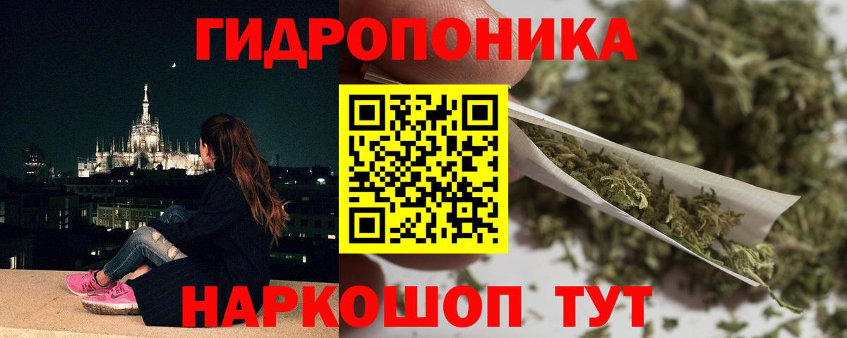 Бошки марихуана тримм  Вход с VPN  Владимир  Бошки марихуана VHQ  Канабис планчик 